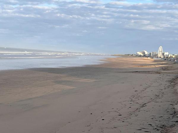 Saint Hilaire de Riez-T2 + Alcôve 54m² - VUE MER - 50m Plage des Demoiselles - Parking & Cave