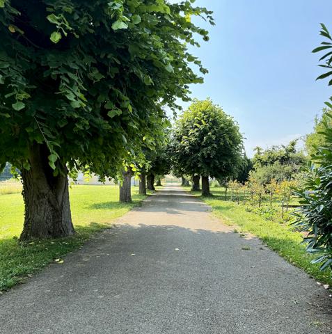 Anet (28260) Viager 2 têtes (H/F 80 ans) occupé Maison 240m2 + dépendance et terrain constructible