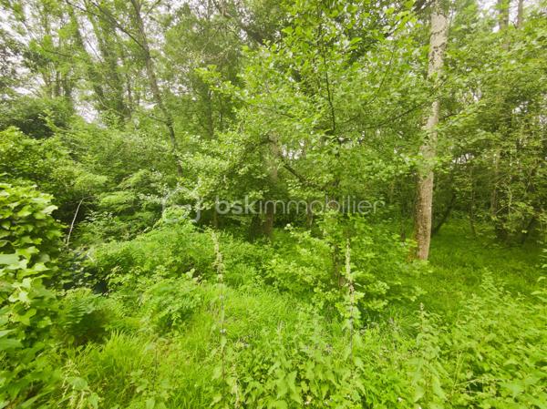 Maison d architecte de 244 m²