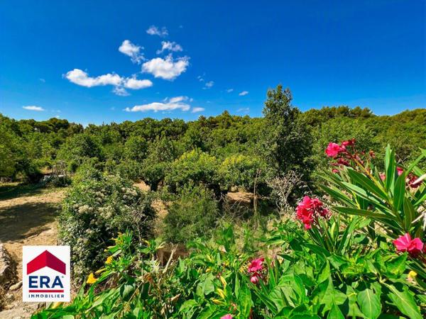 Maison de charme provençale en pleine nature