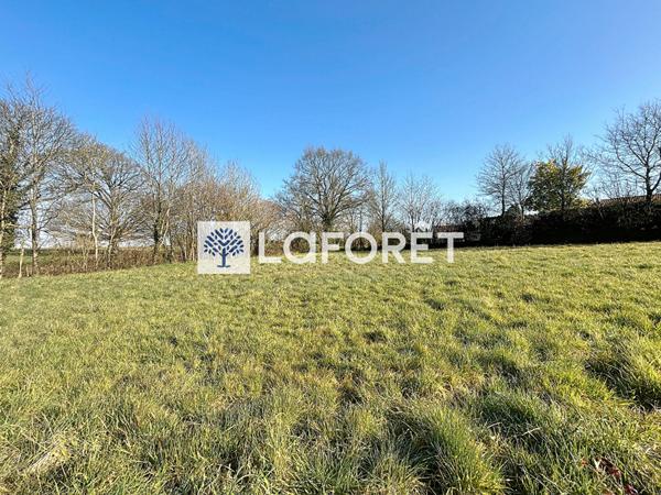 Achat terrain Saint-Amand-sur-Sèvre - 2000 m² - 57 000 €