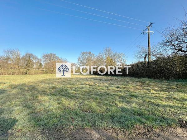 Achat terrain Saint-Amand-sur-Sèvre - 2000 m² - 57 000 €