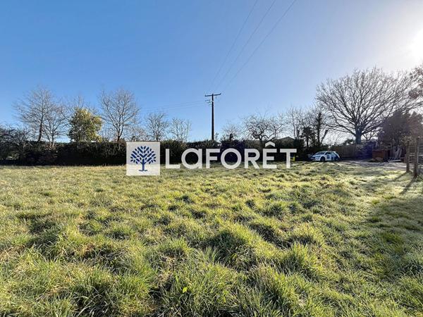 Achat terrain Saint-Amand-sur-Sèvre - 2000 m² - 57 000 €