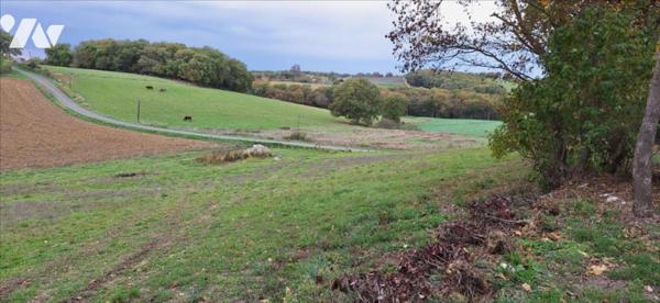 6km de VIC-FEZENSAC, maison en pierre de 200m² envi. sur 8000m² de terrain