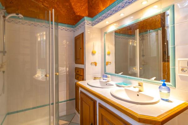 Maison Chabris 9 pièce(s) 233 m2