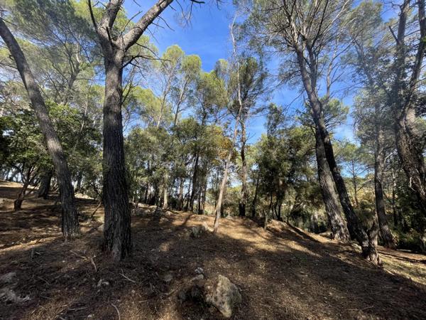 Immobilier Lorgues (83510) – Terrain constructible 2610m2 – 210 000 €