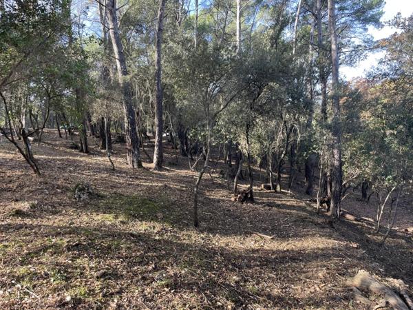 Immobilier Lorgues (83510) – Terrain constructible 2610m2 – 210 000 €