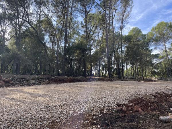 Immobilier Lorgues (83510) – Terrain constructible 2610m2 – 210 000 €