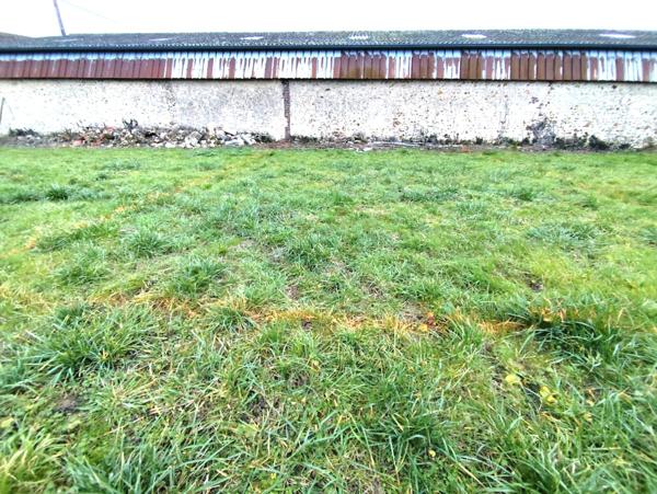 Local Commercial 1 pièce - 81 m² Exclusivité efficity