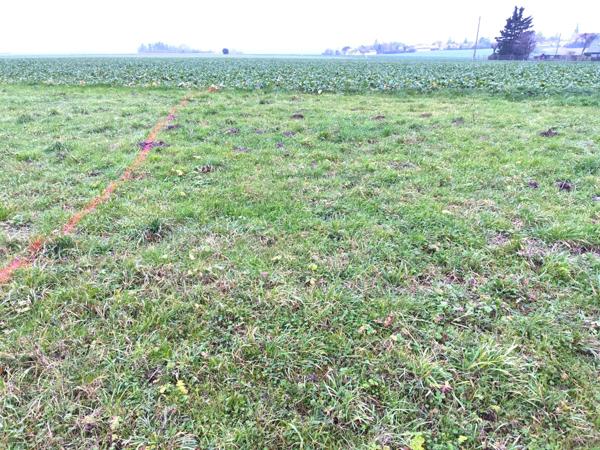 Local Commercial 1 pièce - 81 m² Exclusivité efficity