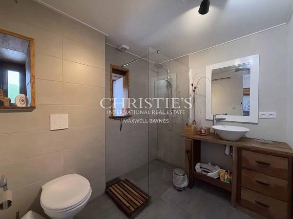 Un domaine de charme avec 2 gîtes et piscine sur 5HA!