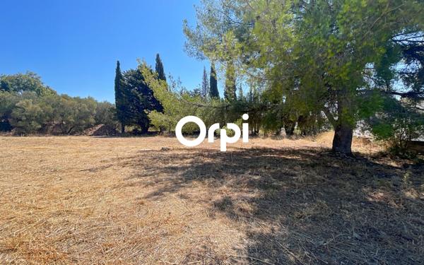 Terrain à vendre    La Ciotat