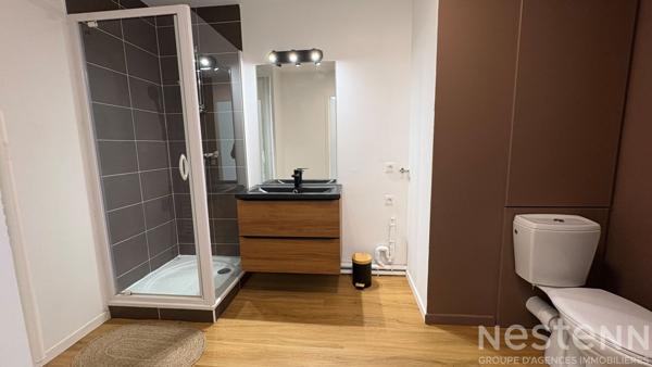 À LOUER - T2 MEUBLÉ RÉNOVÉ À AURAY