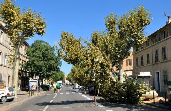 Aix-en-Provence (13100) À louer – T2 36m2 à pied CV