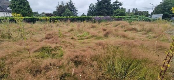 Terrain à Batir à vendre à Cesson-Sévigné en Ille-et-Vilaine (35510), ref : 35176/246