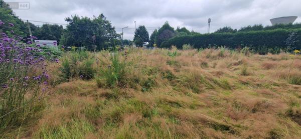 Terrain à Batir à vendre à Cesson-Sévigné en Ille-et-Vilaine (35510), ref : 35176/246