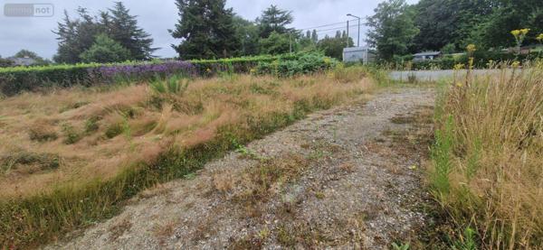 Terrain à Batir à vendre à Cesson-Sévigné en Ille-et-Vilaine (35510), ref : 35176/246