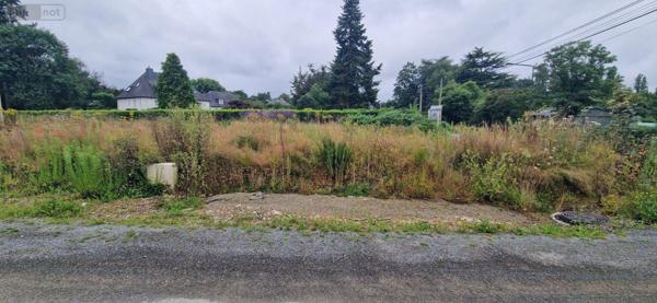 Terrain à Batir à vendre à Cesson-Sévigné en Ille-et-Vilaine (35510), ref : 35176/246