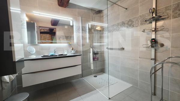 maison/villa 13 pièce(s) 298 m2