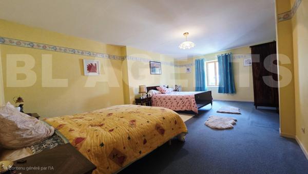 maison/villa 13 pièce(s) 298 m2