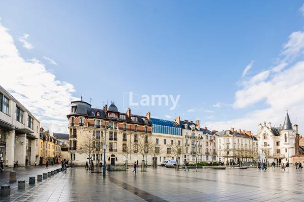 Local professionnel / commercial