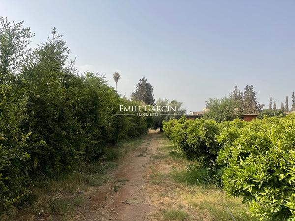 Terrain à vendre au coeur de la Palmeraie de Marrakech