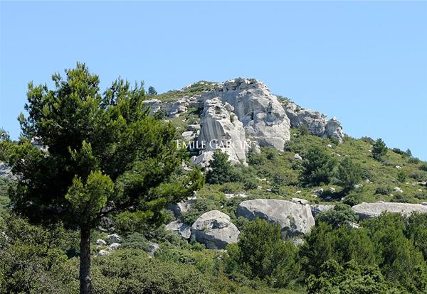 Hôtel**** à vendre au coeur des Alpilles - Les Baux De Provence