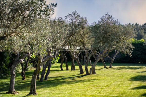 Hôtel**** à vendre au coeur des Alpilles - Les Baux De Provence