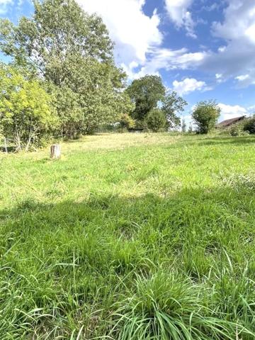 Vente / Terrain constructible à Larringes (74500)