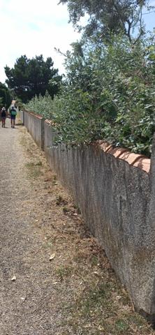 Terrain à vendre de 530,00 m² BRETIGNOLLES SUR MER (85)