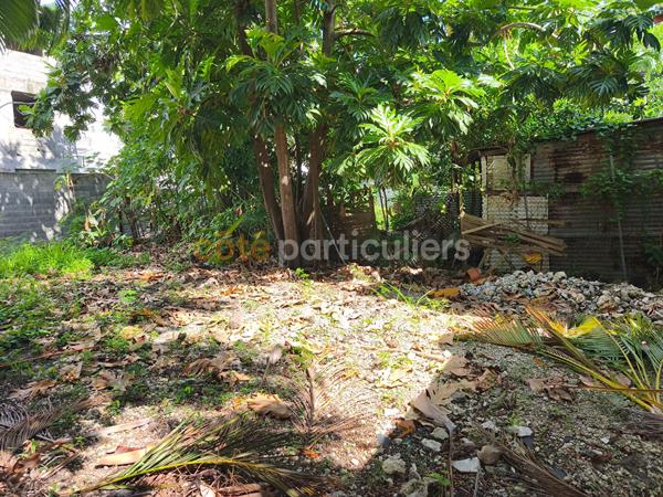 Vente
                Terrain302 m² - SAINTE ANNE (97180)