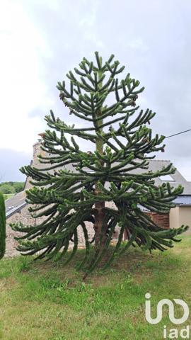 Maison à vendre 8 pièces 170 m² Lamballe-Armor