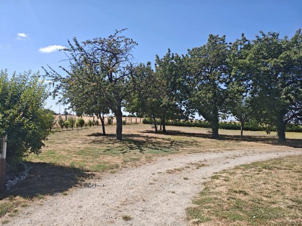 Charmante maison 4 chambres avec piscine à Dercé