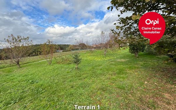 Terrain à vendre    Burlats