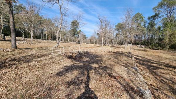 Terrain de 10 520 m²