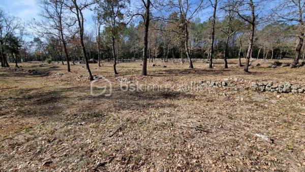Terrain de 10 520 m²