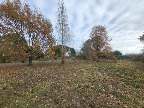 A VENDRE TERRAIN CONSTRUCTIBLE DE 1000 M2 À 10 KILOMÈTRES DE BLAYE , Blaye A VENDRE TERRAIN CONSTRUCTIBLE DE 1000 M2 À 10 KILOMÈTRES DE BLAYE , Blaye