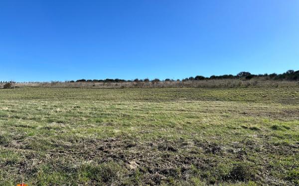 Terrain à vendre    Limoux