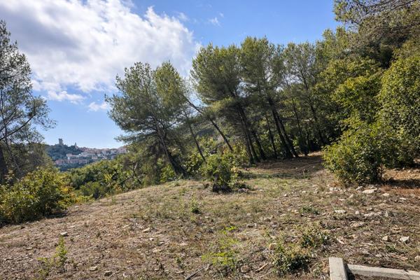 La Turbie (06320) LA TURBIE/MONACO : SUPERBE VUE MER A 180° POUR CE PETIT LOTISSEMENT DE 3 LOTS, 6200 M2, EXPOSE PLEIN SUD