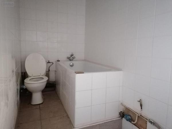 Immeuble à vendre à Descartes dans l'Indre-et-Loire (37160), ref : 37082-252