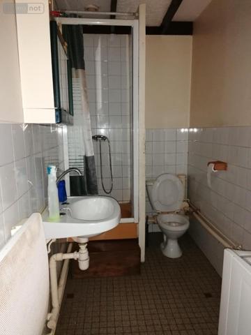 Immeuble à vendre à Descartes dans l'Indre-et-Loire (37160), ref : 37082-252