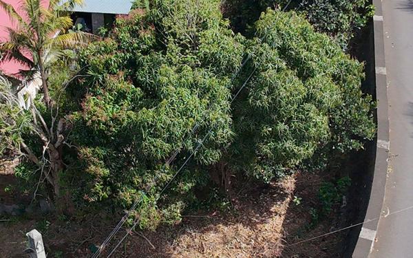 Terrain à vendre    Les Trois-Bassins