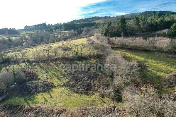 MAISON DE 220 M2, RÉNOVÉE EN 2014, TERRAIN DE 6 HA, 4 CHAMBRES, SALLE DE JEUX, 3 PUITS, ÉTANG, ASSAINISSEMENT AUX NORMES À VENIR, POMPE À CHALEUR DE 2016 AVEC CHAUFFAGE AU SOL, FIBRE OPTIQUE