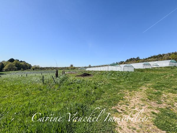 Grand-Champ (56390) BELLE PROPRIÉTÉ DE CARACTÈRE