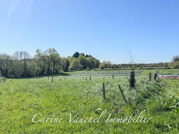 Grand-Champ (56390) BELLE PROPRIÉTÉ DE CARACTÈRE