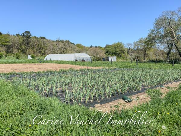 Grand-Champ (56390) BELLE PROPRIÉTÉ DE CARACTÈRE