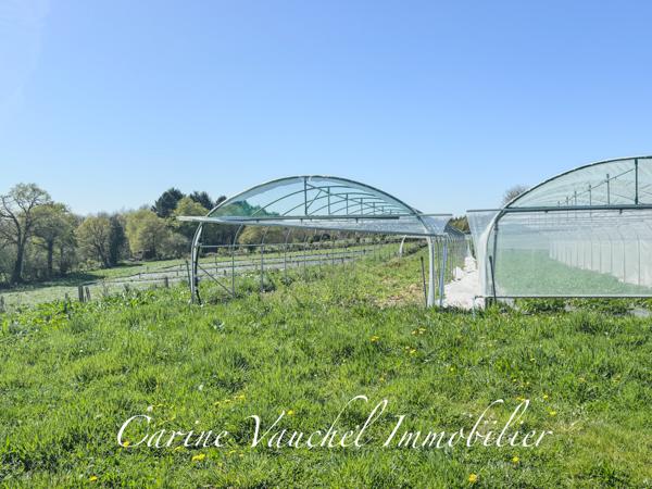 Grand-Champ (56390) BELLE PROPRIÉTÉ DE CARACTÈRE