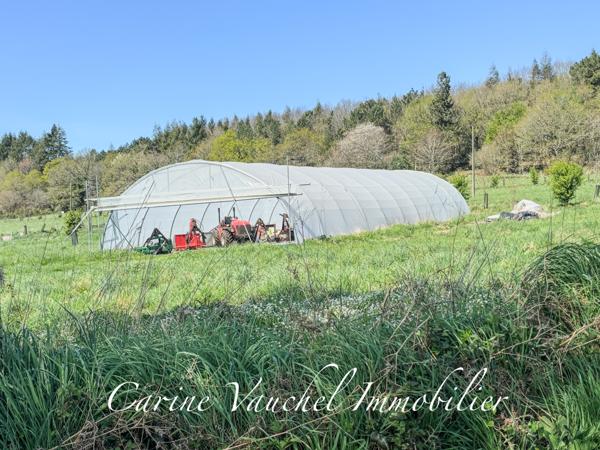 Grand-Champ (56390) BELLE PROPRIÉTÉ DE CARACTÈRE