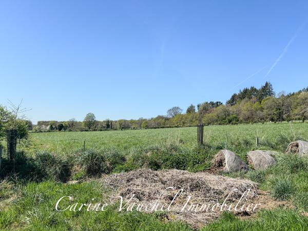 Grand-Champ (56390) BELLE PROPRIÉTÉ DE CARACTÈRE