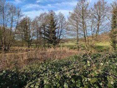 Terrain de loisirs - Bois - Etang à vendre à Changé dans la Sarthe (72560), ref : l800236570